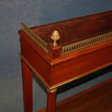 Important empire style planter in mahogany and bronze (202 x 99 cm)