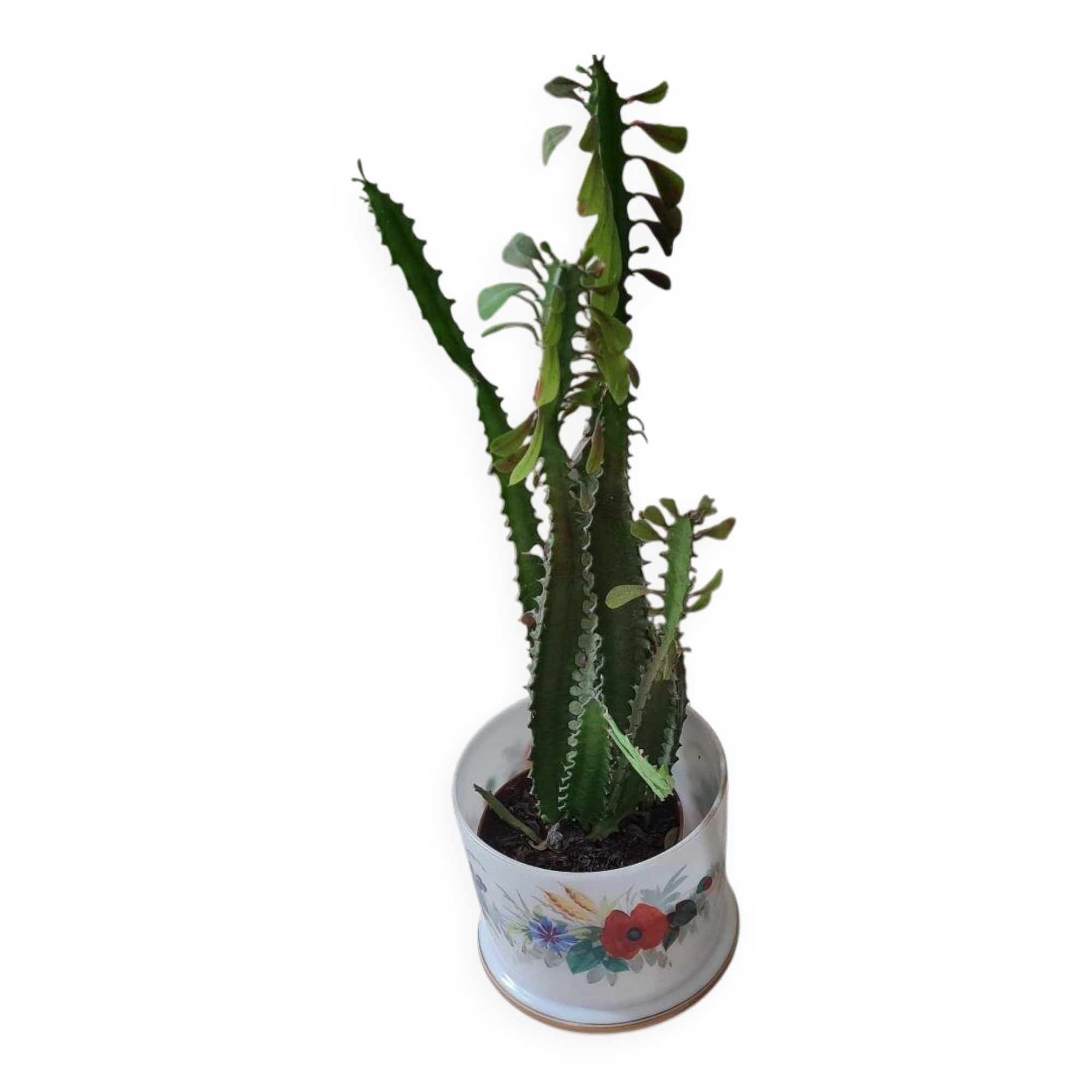 Pair of travertine nesting tables