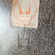 Eames DSW Fiberglass Chair