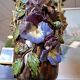 Vase en barbotine