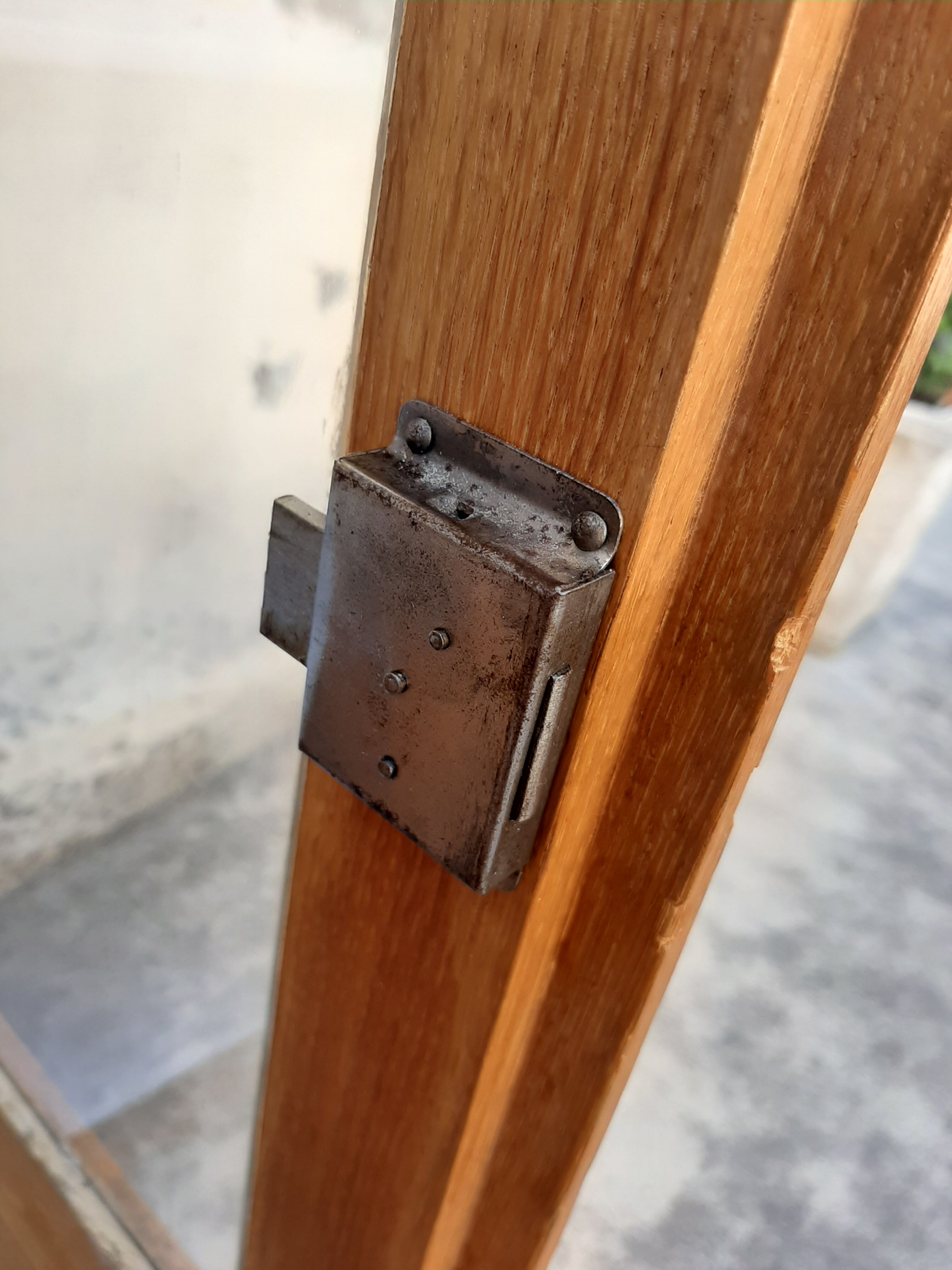 Ancient parisian oak library