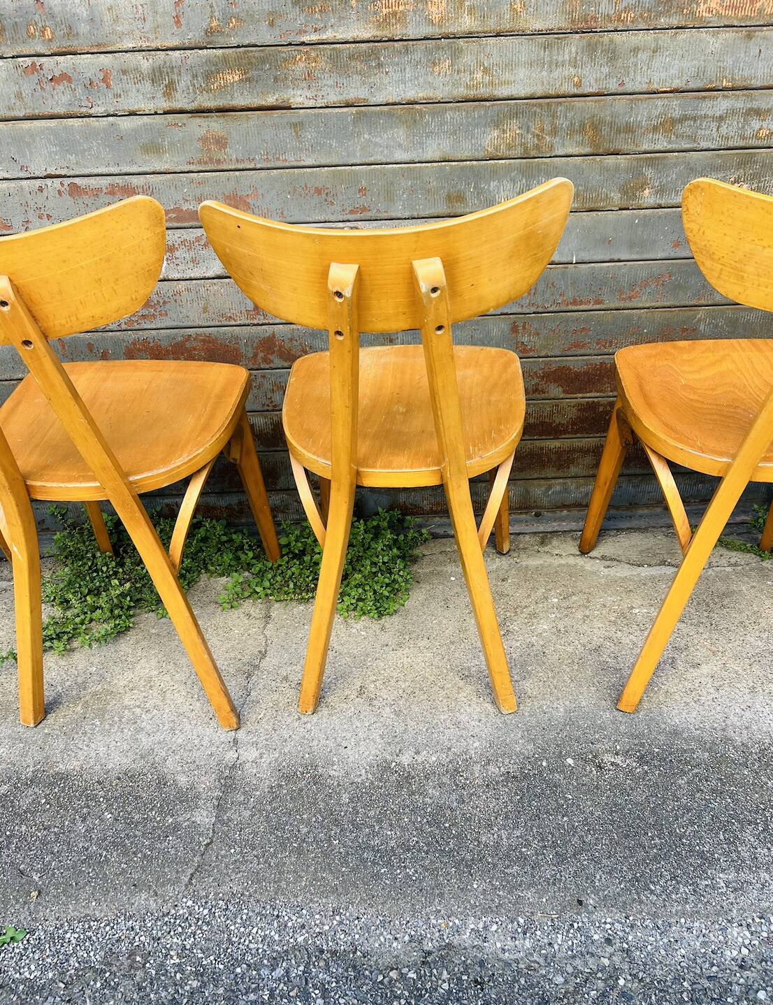(Lot) 6 Bistro Chairs Lutherma Banana (Light Oak)