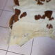 Vintage bovine skin