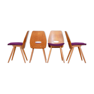 Chaises de salle à manger modernes du milieu du siècle, conçues par františek jirák pour tatra nábytok