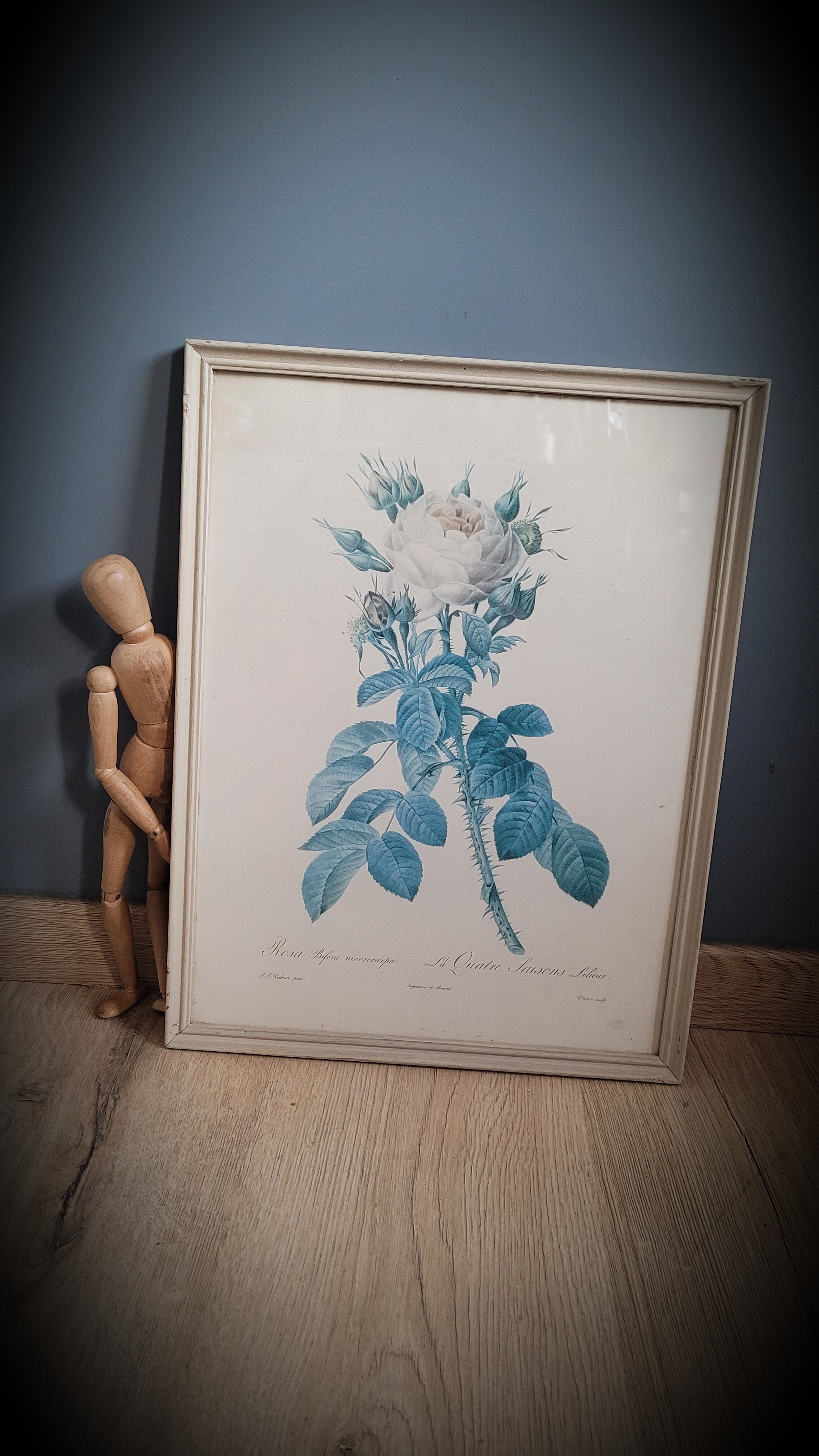 Litho rose Four seasons Lelieux