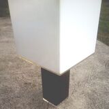 Plexi scale lamp 80'