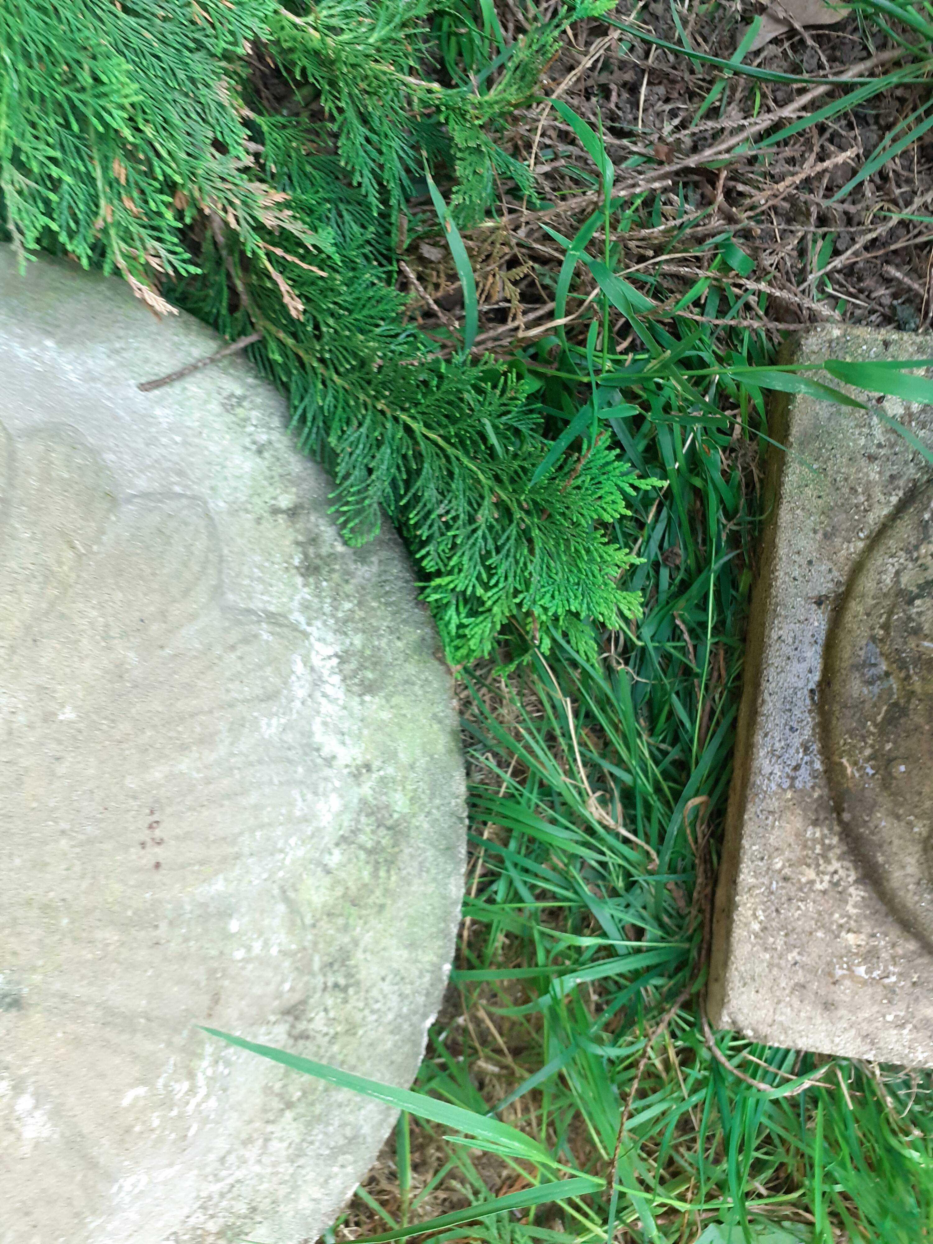 Pair of stone planter medicis