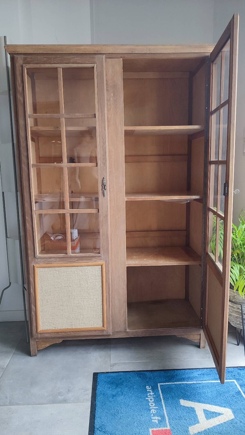 Parisian cabinet display case