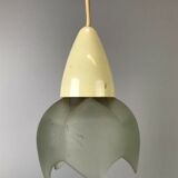 60s 70s Erco ceiling lamp ceiling light lamp light glass space age