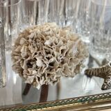 Corail ancien