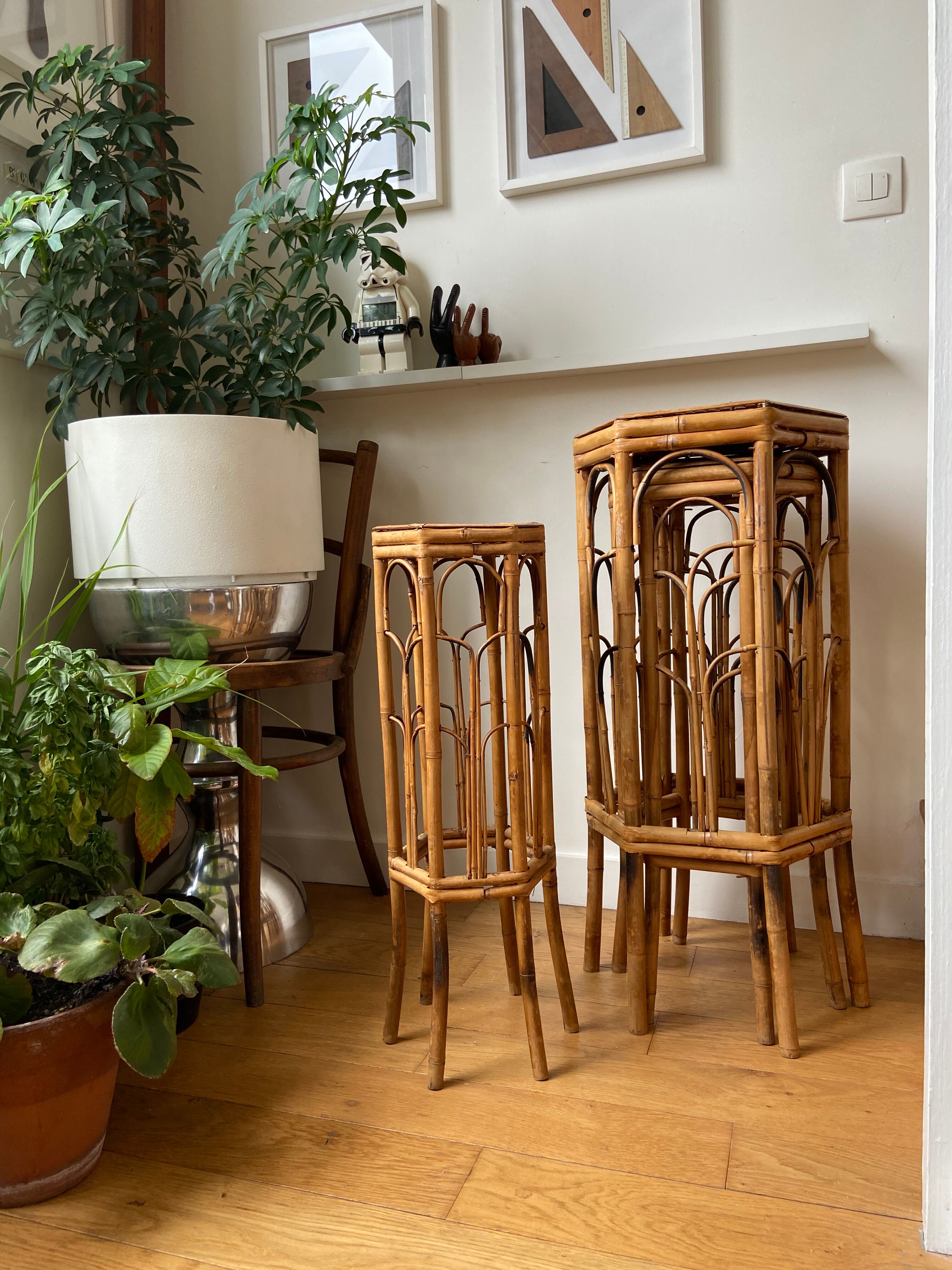 Trio of rattan gigognes harnesses
