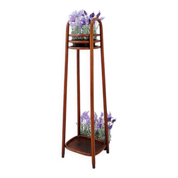 Socle piédestal en bois courbé - porte-plante attribué à Jacob & Josef Kohn, années 1890