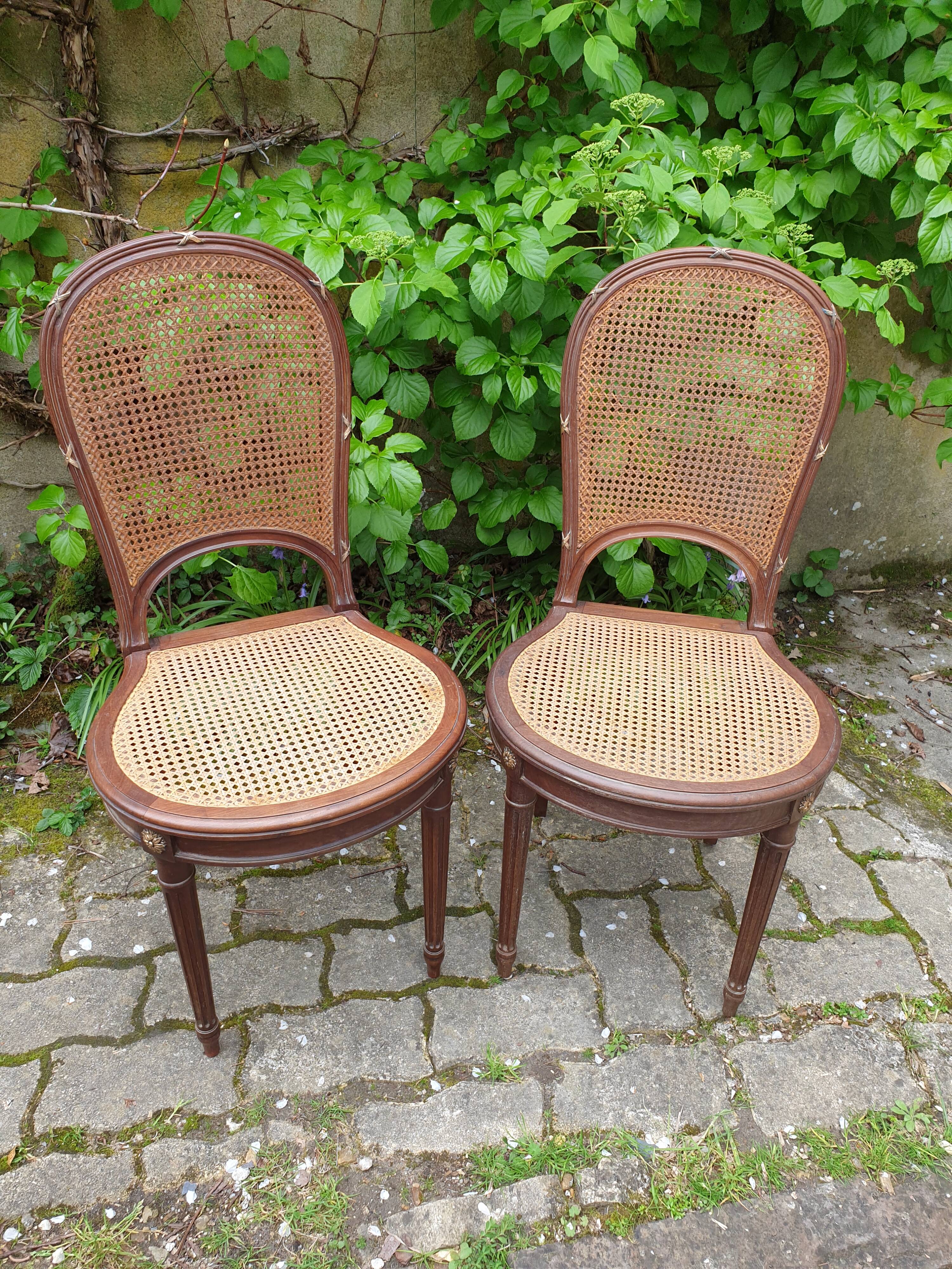 Louis XVI canning chairs