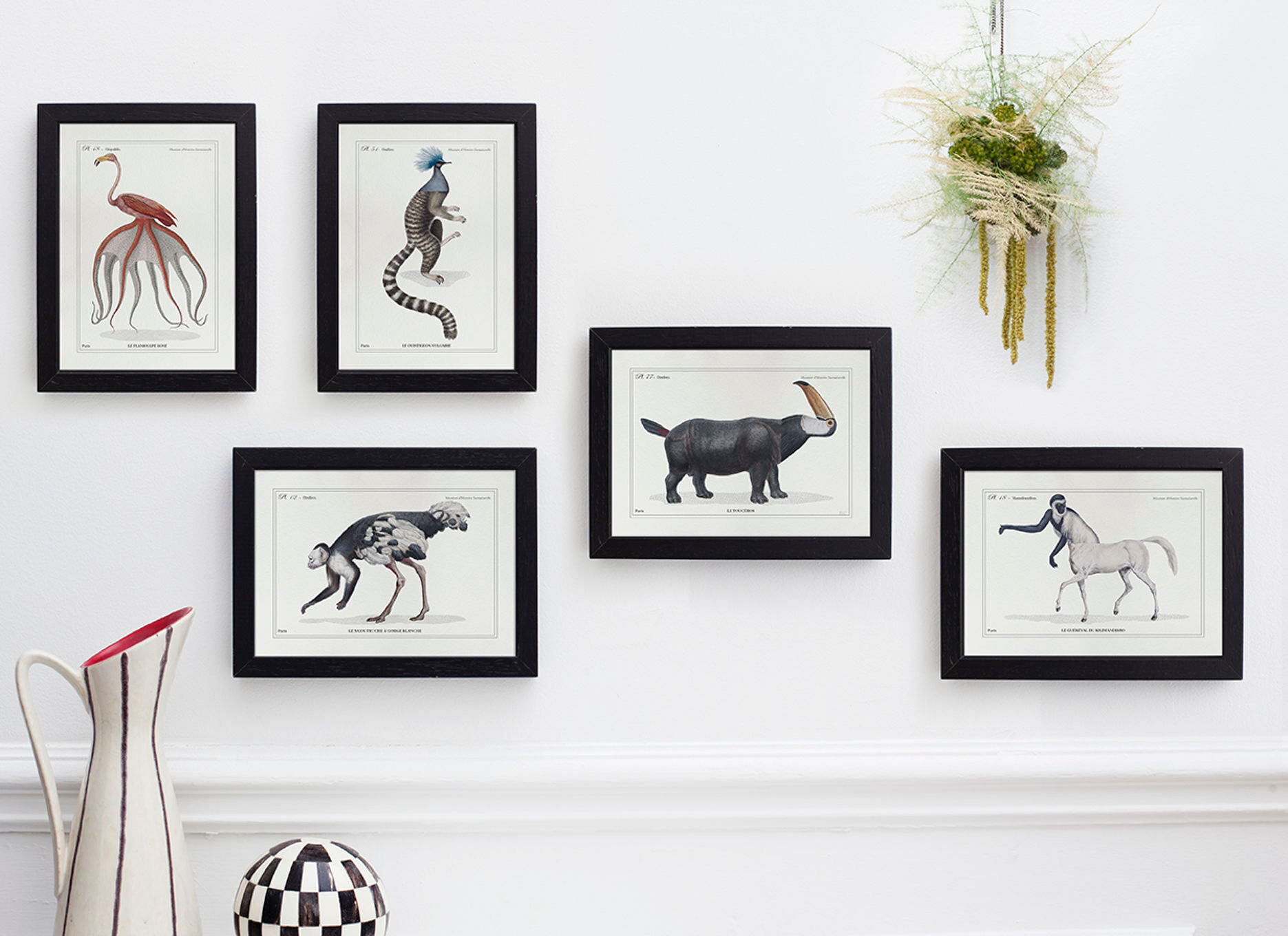 Chimera lithograph animal engraving - the maricoq