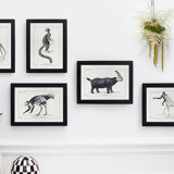 Chimera lithograph animal engraving - the maricoq