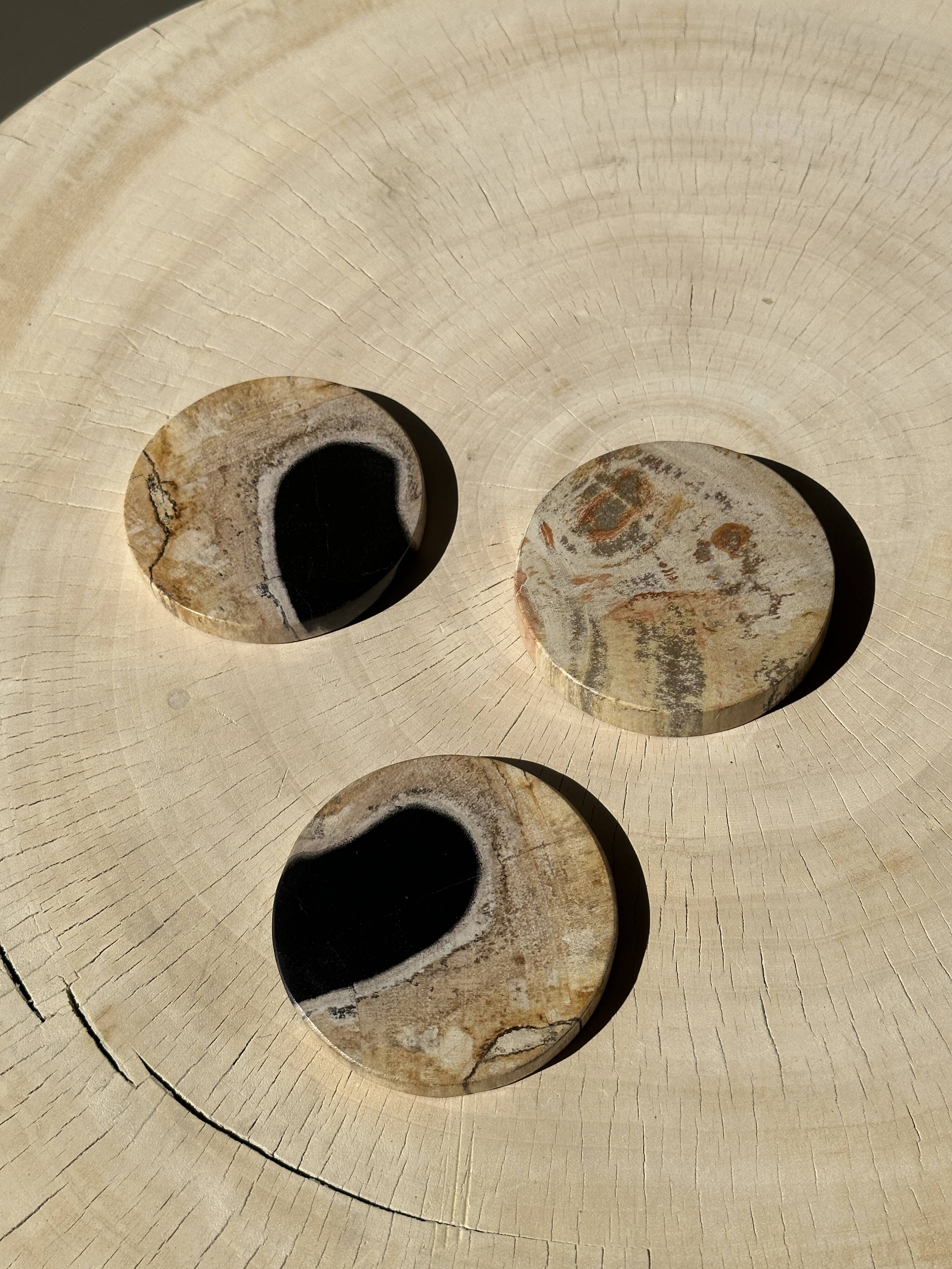 Set of 3 fossilized wood coasters (clear)