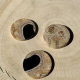 Set of 3 fossilized wood coasters (clear)