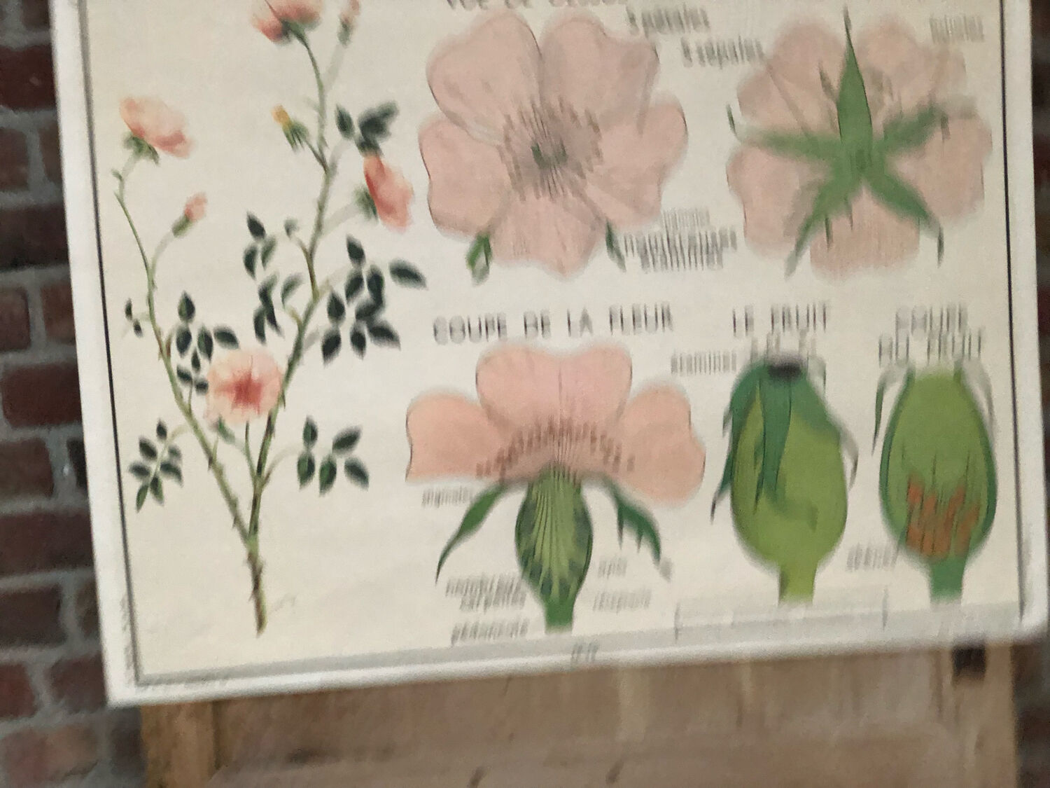 Old double-sided Rossignol school poster