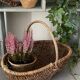 Panier de cueillette