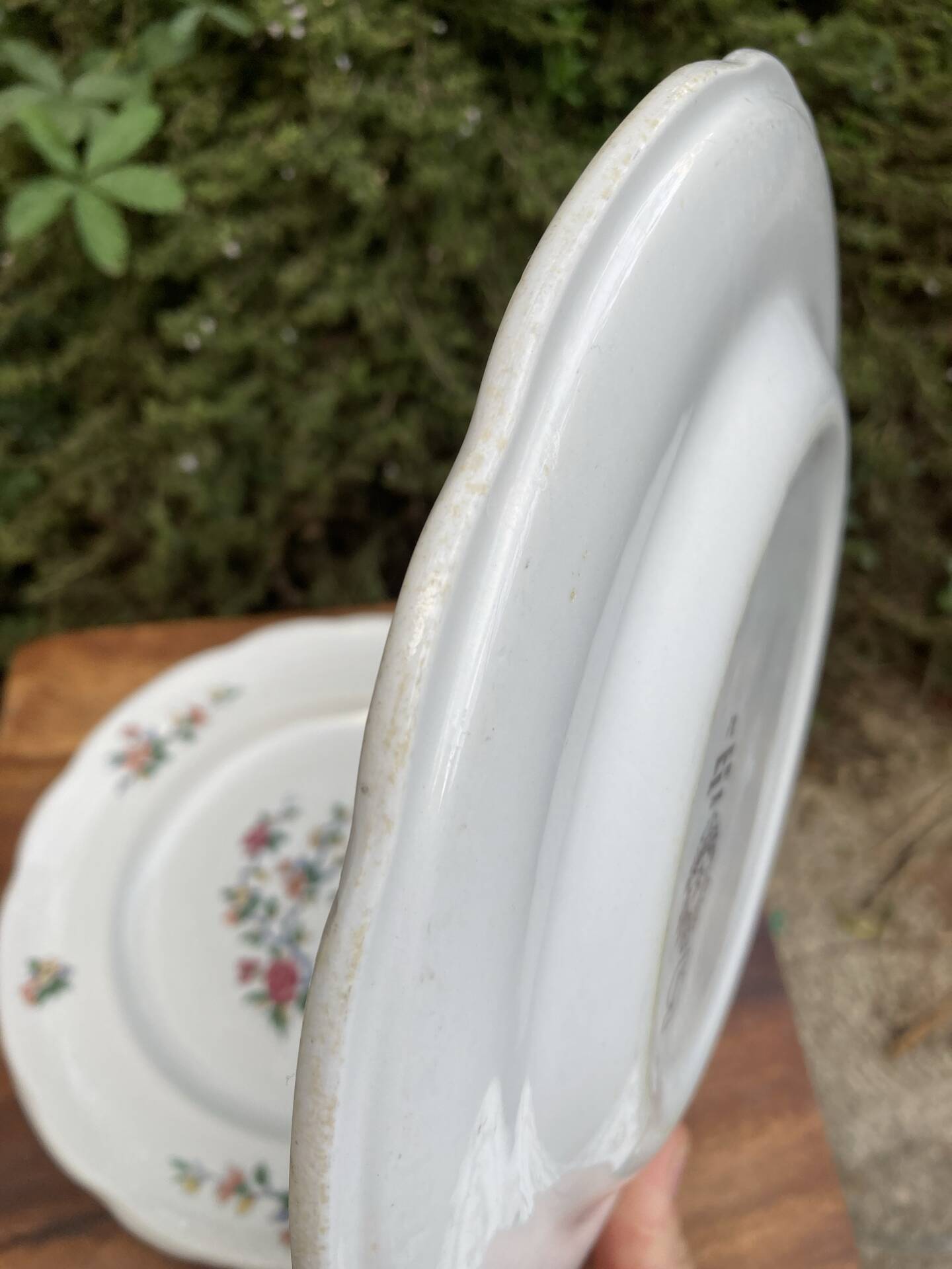 Sarreguemines plates paradise birds / Phoenix