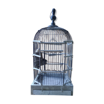 Birdcage
