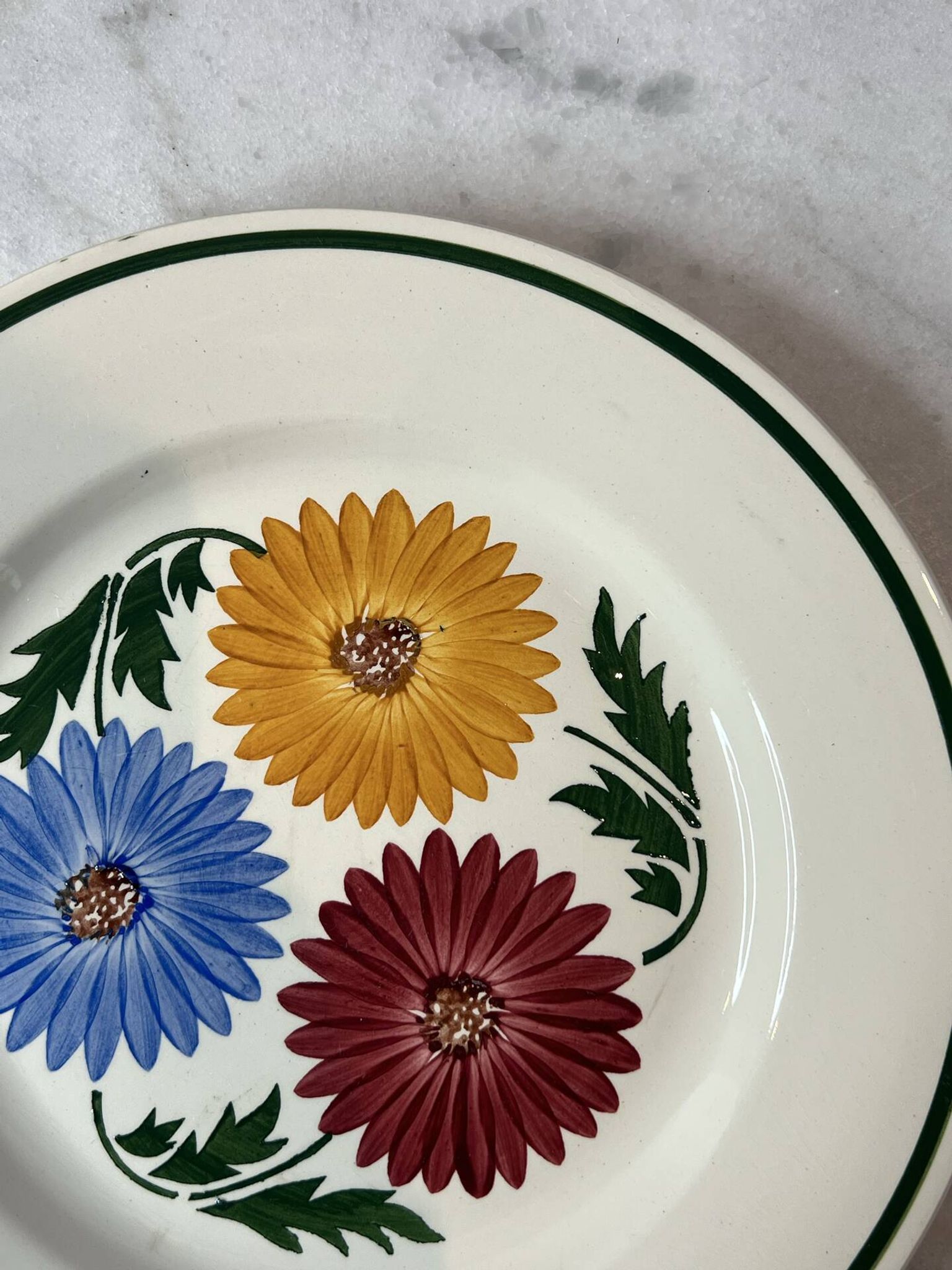 Set of 6 Chalons plates Digoin Sarreguemines with painted floral decoration.