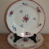 Duo d'assiettes plates Sarreguemines service Danube
