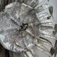 Silver wrought iron sunburst wall light from the 1960s.