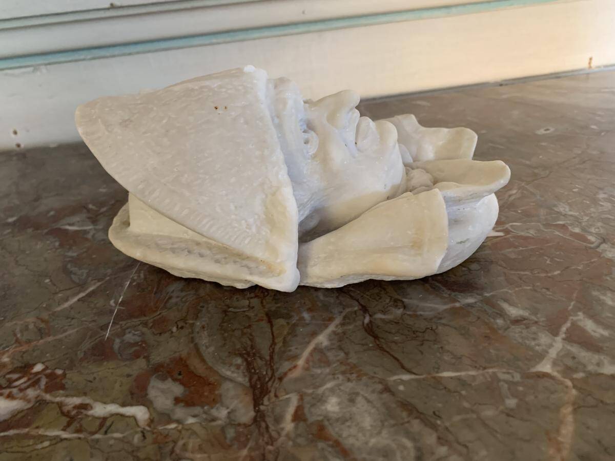 Marble sculpture, man's head in a hat.