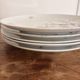Lot of 6 Flat Plates Seltmann Weiden Bavaria Porcelain Pheasant Birds