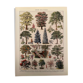 Lithograph engraving on the gardens of 1928