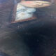 Painting "Portrait of a nobleman with a bow tie" XIX° HST (for restoration)
