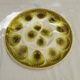 12 oyster plates and Moulin des loups dish