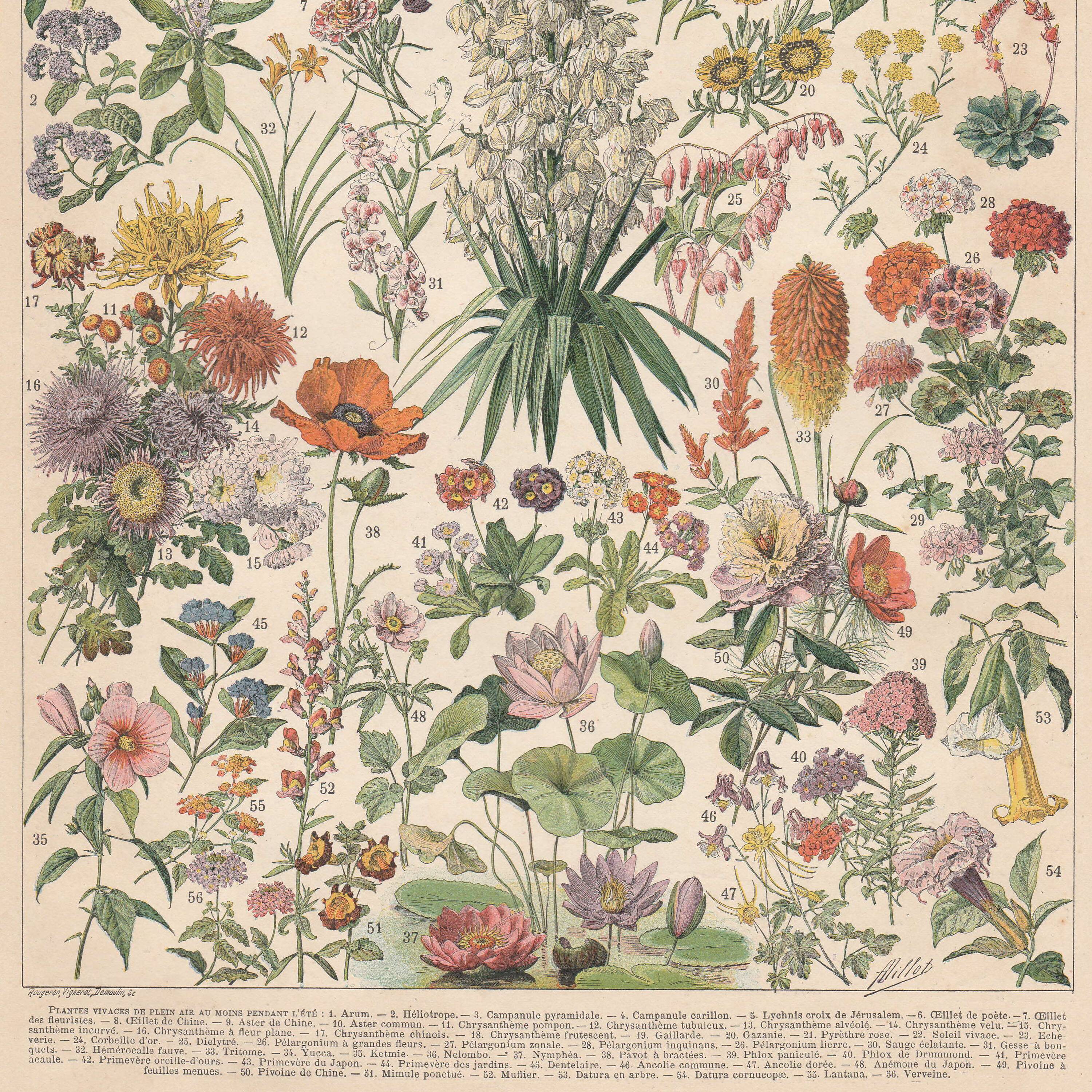Old plate on flowers 1897