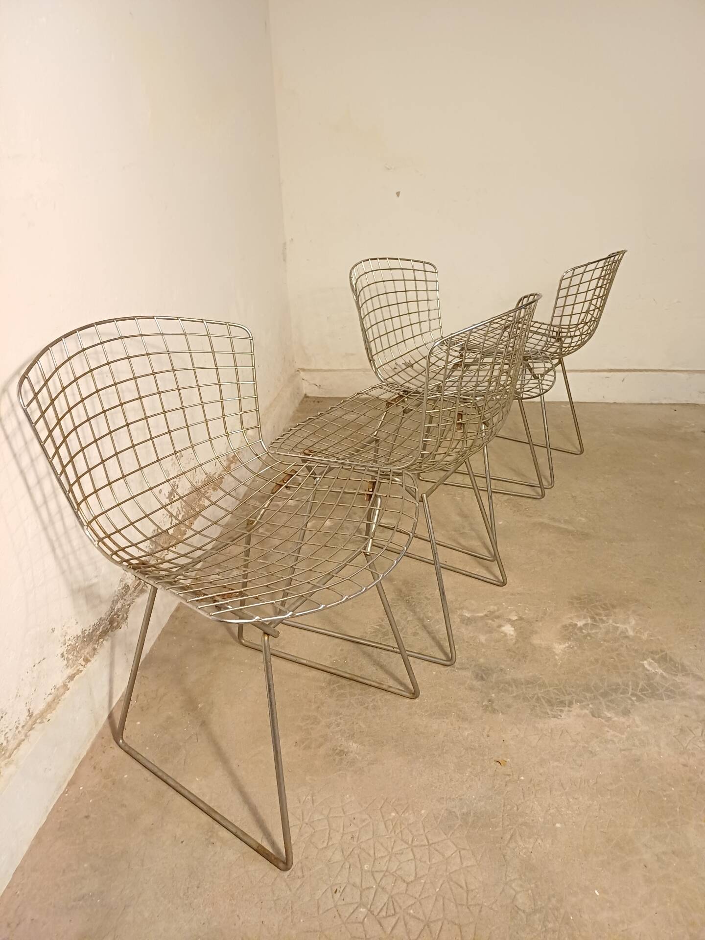 Série de 4 chaises Harry Bertoia