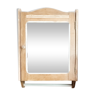 Mirror storage cabinet