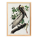Poster about the Brown Pelican, based on an old engraving from 1827.