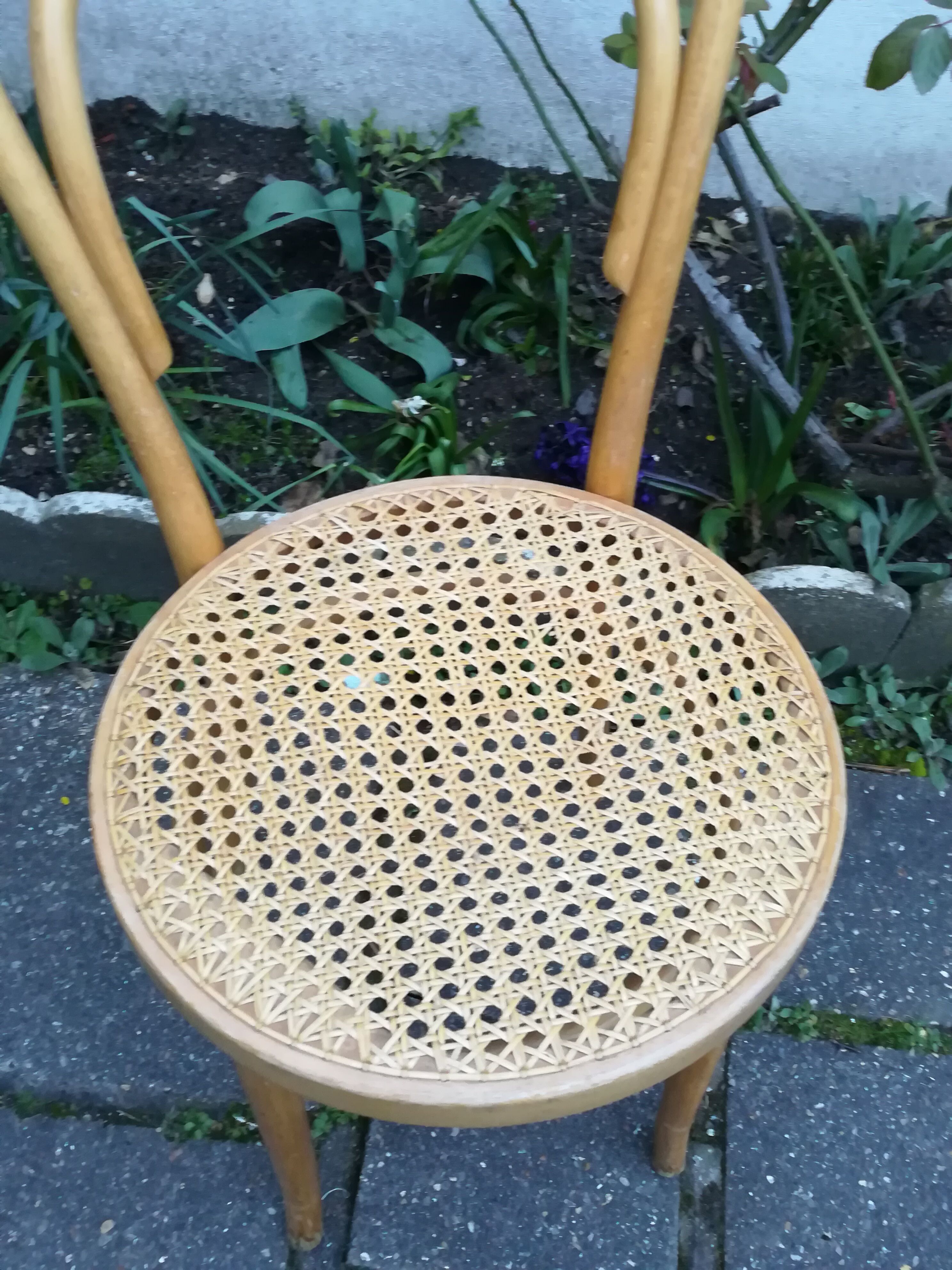 Chair Thonet n ° 14