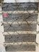 Black and white Moroccan Kilim rug