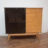 1950s vinyls dresser