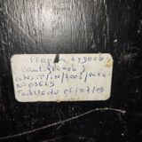 Coral on base cabinet of curiosities