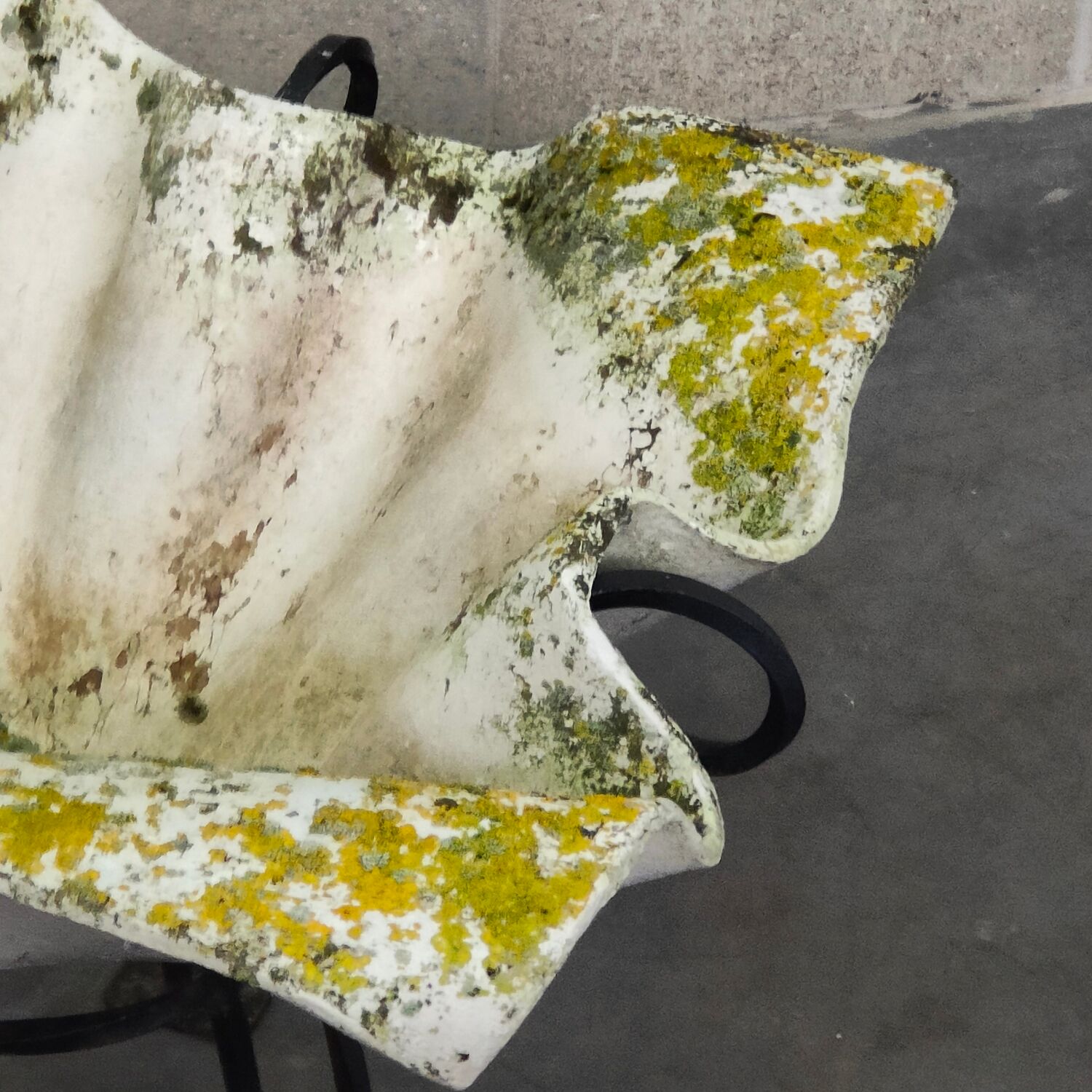 Elephant ear planter or Handkerchief, 1950 period by Willy Guhl