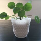Cache pot en opaline blanche