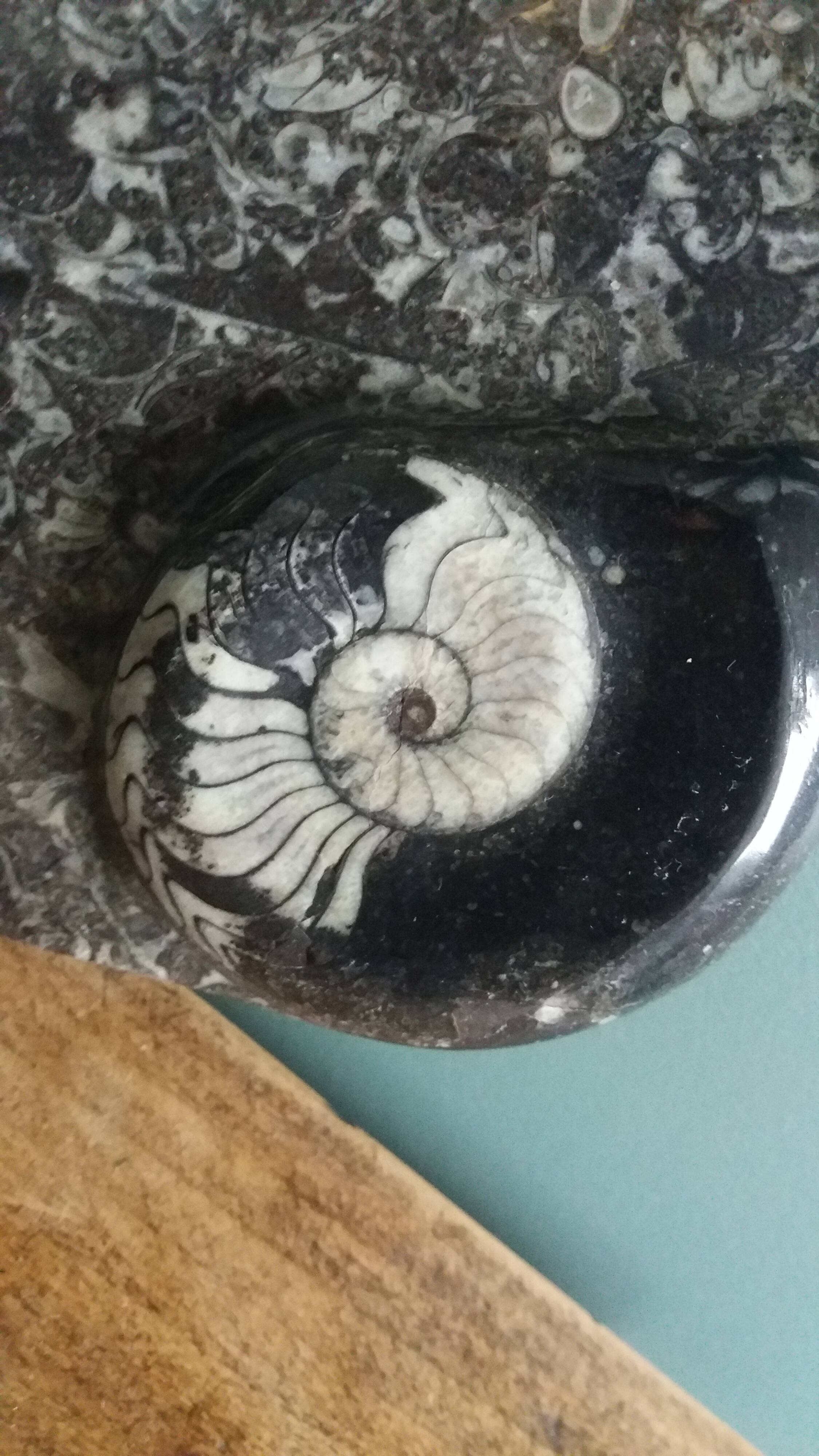Marble trinket tray with ammonite fossil