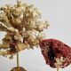 Set of two antique corals on turned wooden base, 20 cm