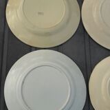 Set of 6 different flat plates