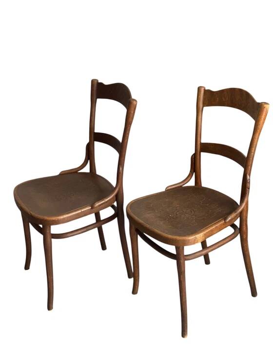 Rare set of Thonet-Mundus antique chairs, circa 1920 – elegance of Viennese Secession in bent wood.