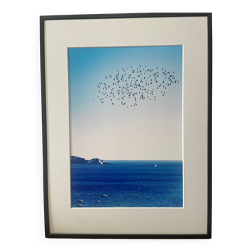 The flight