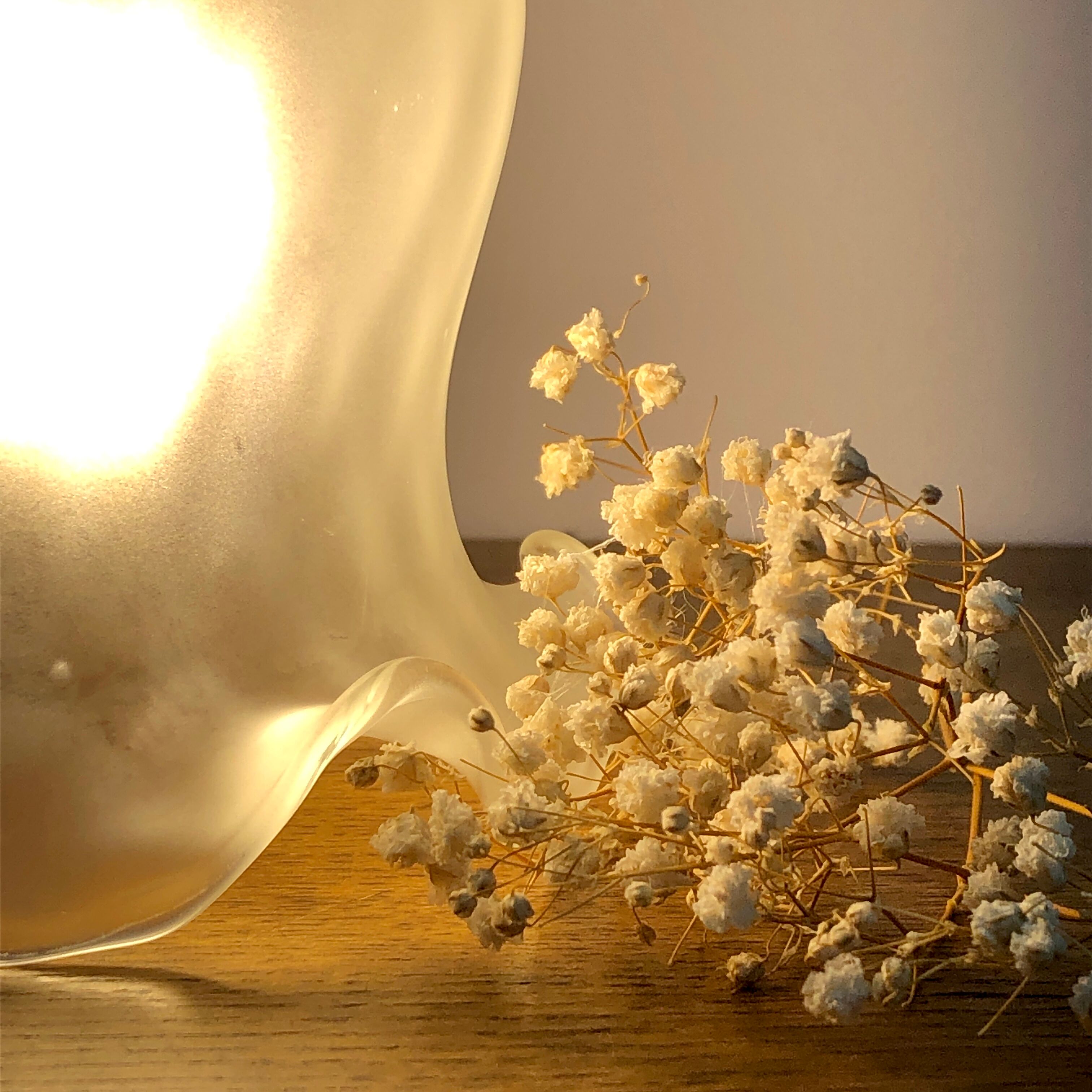 Vintage tulip walker in frosted glass