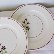 4 assiettes plates vintage de la manufacture des Salins 210663